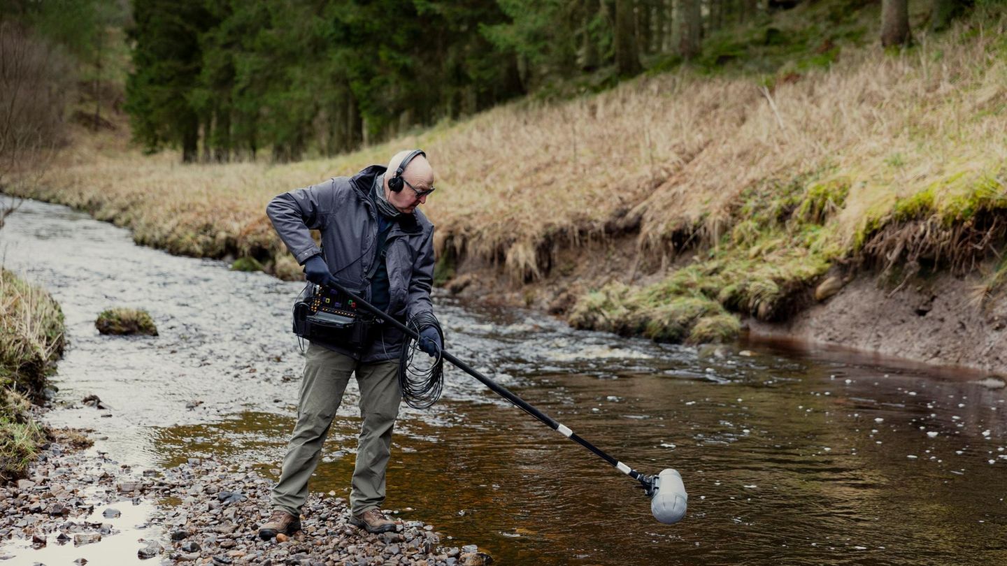 Watson lauscht dem Bach-Konzert im Kielder Forest. Der Brite hat seine Mikrofone schon vor Ross Island in der Antarktis platziert, in den Schottischen Highlands aufgestellt und sie ins Wasser der Baja California gehalten 