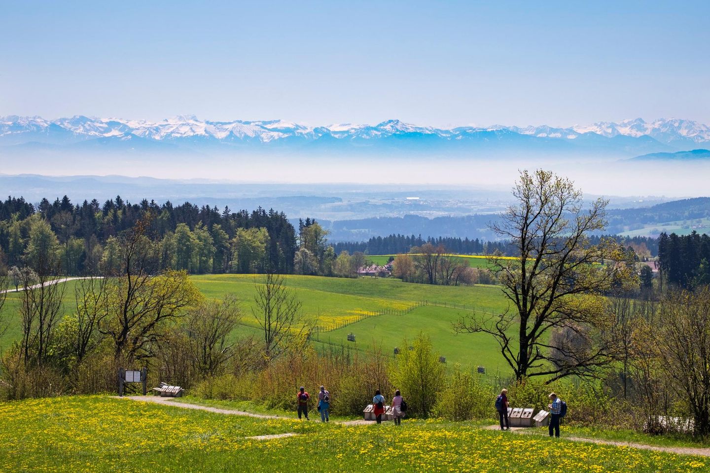 Gipfelzählen im Deggenhauser Tal  Mit dem Bus ins Deggenhauser Tal und wandern https://www.deggenhausertal.de/de/freizeit-tourismus/deggenhausertal-erleben/wanderwege/premiumwanderweg