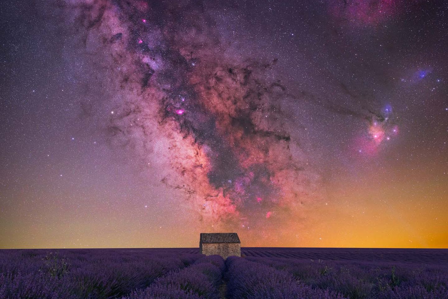 “HOUSE OF LAVENDER” – BENJAMIN BARAKAT