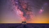 “HOUSE OF LAVENDER” – BENJAMIN BARAKAT
