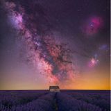 “HOUSE OF LAVENDER” – BENJAMIN BARAKAT