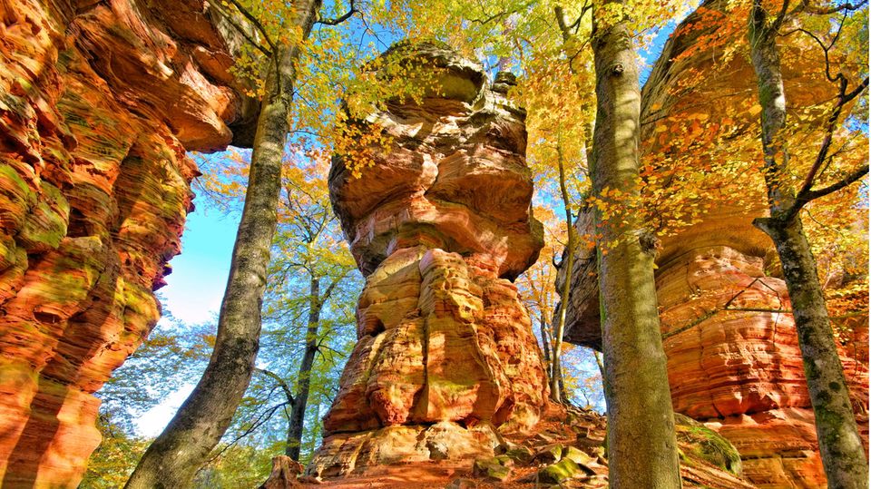 Altschlossfelsen im Dahner Felsenland im Herbst Altschlossfelsen im Dahner Felsenland im Herbst
