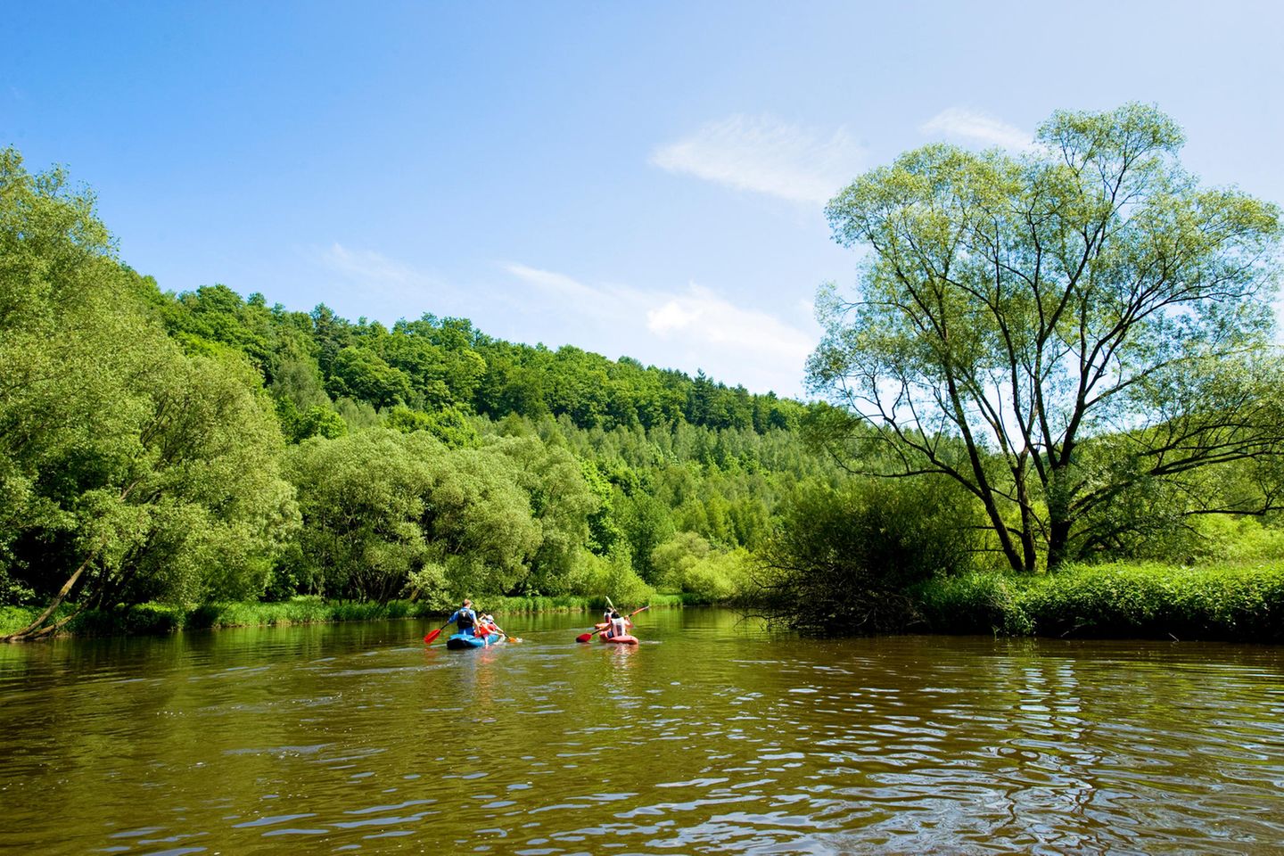 Blick auf die Saale bei Bernburg