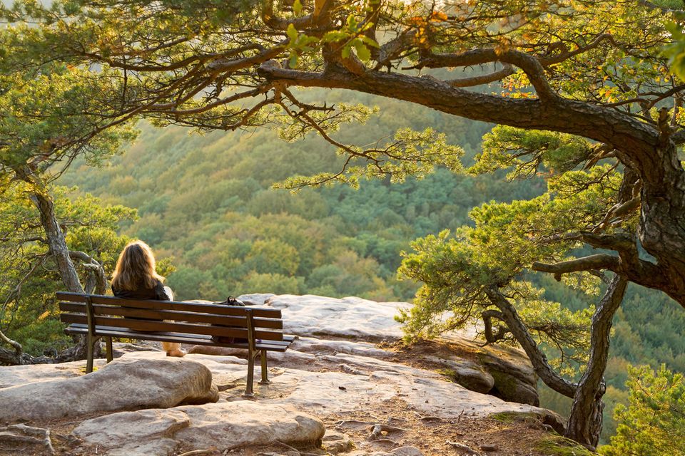 Frau sitzt auf einer Bank und genießt den Ausblick auf den Pfälzerwald