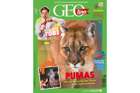 GEOlino Magazin: Pumas