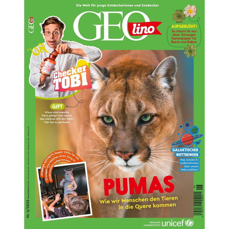 GEOlino Magazin: Pumas