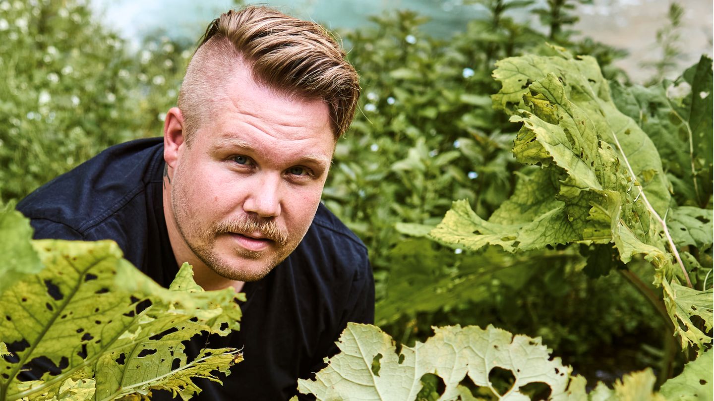Thomas Hörren ist Mitglied des Krefelder Entomologischen Vereins, dessen Studie zum Insektenschwund in Naturschutzgebieten 2017 für Furore sorgte. Über seine Forschung berichtet er als totholz.thomas auf Instagram