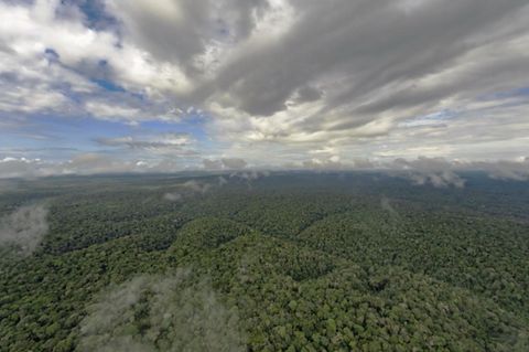 Eine Luftaufnahme des Amazonas-Regenwaldes