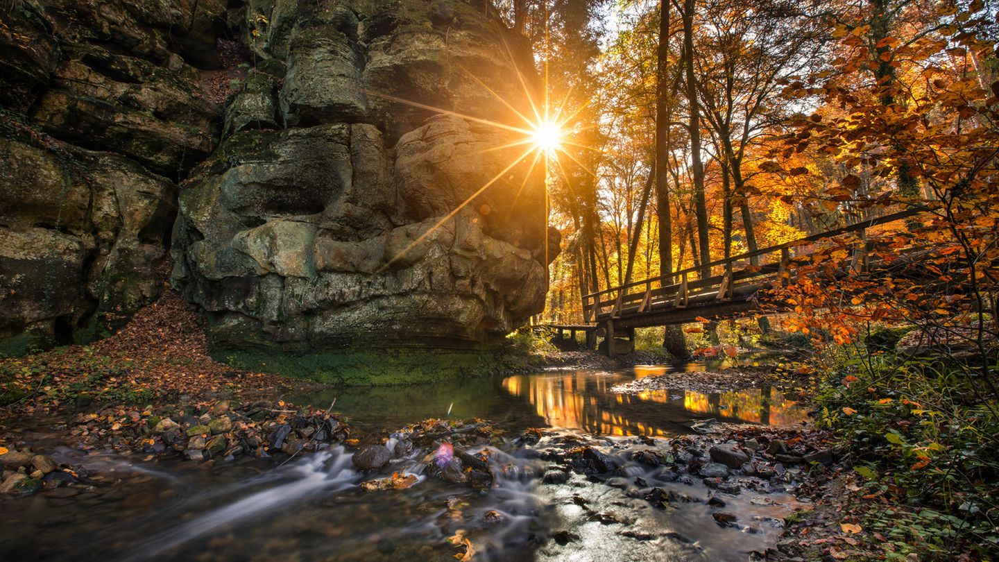 Ein großer Felsen umgeben von Bäumen und einer kleinen Brücke