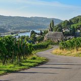 Eine Straße verläuft über einen Weinberg, im Hintergrund ist die Mosel zu sehen