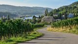 Eine Straße verläuft über einen Weinberg, im Hintergrund ist die Mosel zu sehen
