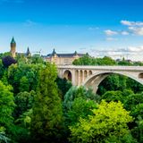 Große Brücke über grünen Bäumen