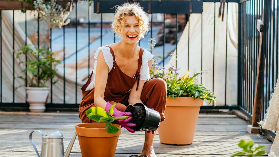 Über Zufriedenheit und Glück im Alter vermag auch ein Hobby mitzuentscheiden: Nicht selten ist in der Zweiten Lebenshälfte mehr Zeit, um geliebten Beschäftigungen nahzugehen und dabei Talente einzusetzen 