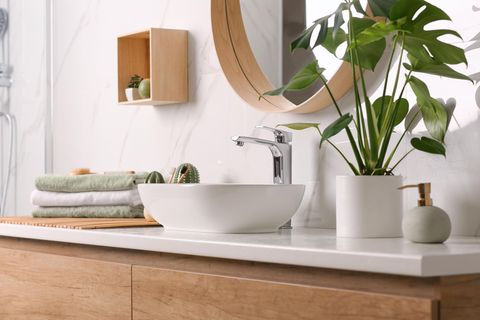 Pflanze im Badezimmer auf dem Waschtisch