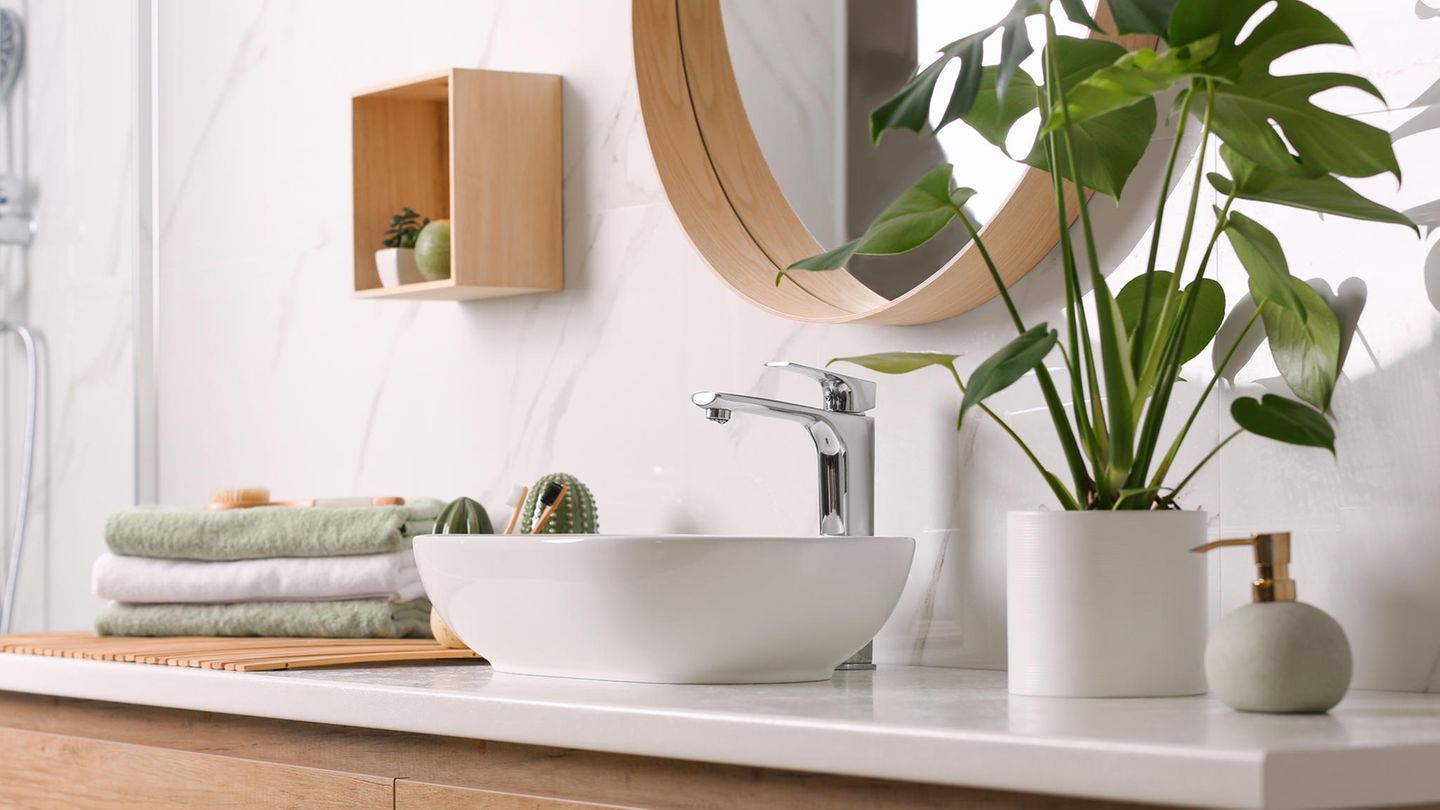 Pflanze im Badezimmer auf dem Waschtisch Pflanze im Badezimmer auf dem Waschtisch