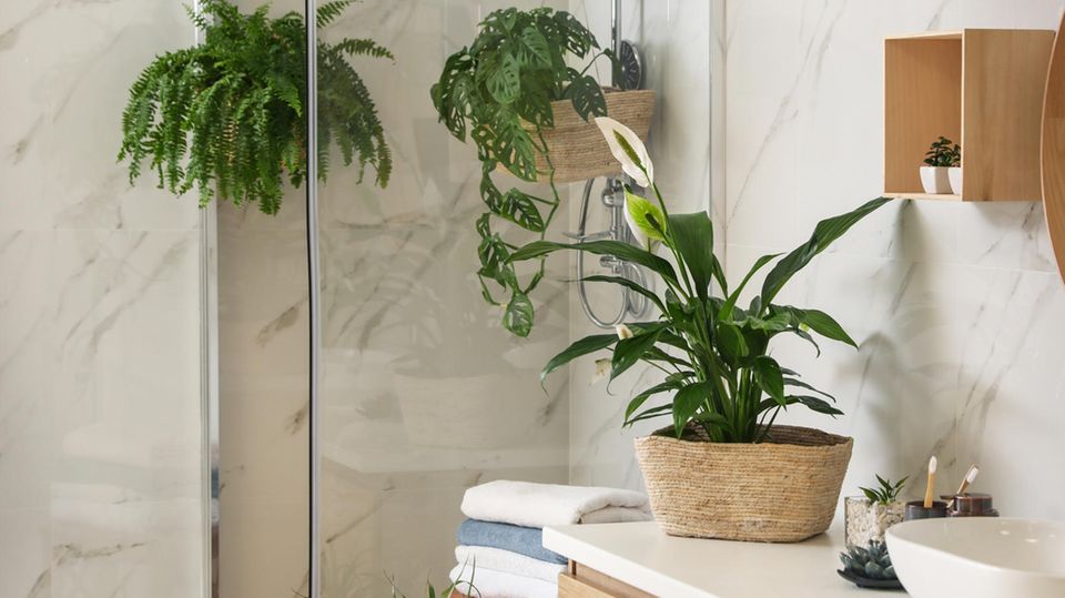 Einblatt im Badezimmer vor der Dusche Einblatt im Badezimmer vor der Dusche