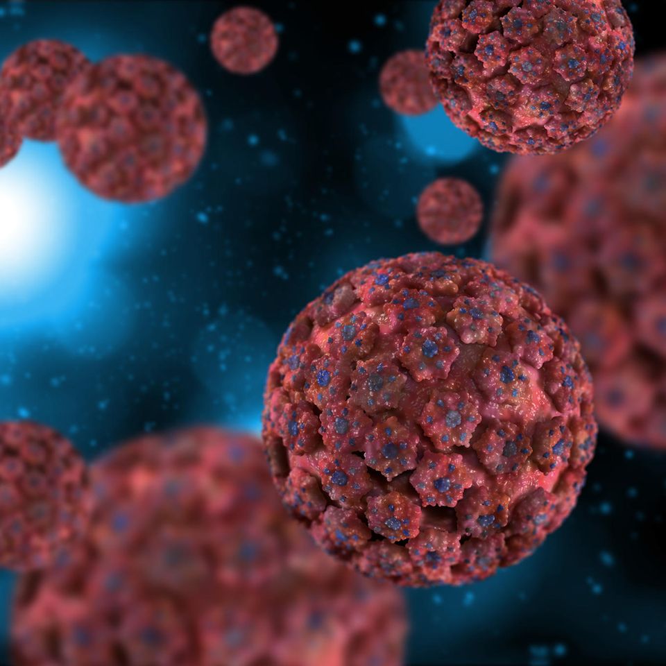 3D Ansicht eines HPV-Virus 3D Ansicht eines HPV-Virus