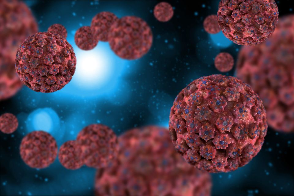 3D Ansicht eines HPV-Virus
