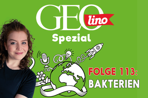 In Folge 113 unseres GEOlino-Podcasts geht es um unsere Mini-Mitbewohner: Bakterien