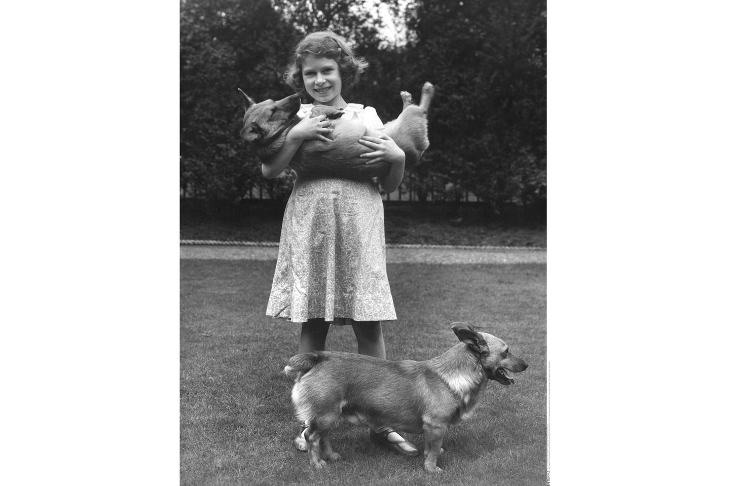Lilibet, wie sie privat gerufen wird, liebt schon damals die Corgis, eine ursprünglich aus Wales stammende Hunderasse.