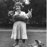 Lilibet, wie sie privat gerufen wird, liebt schon damals die Corgis, eine ursprünglich aus Wales stammende Hunderasse.