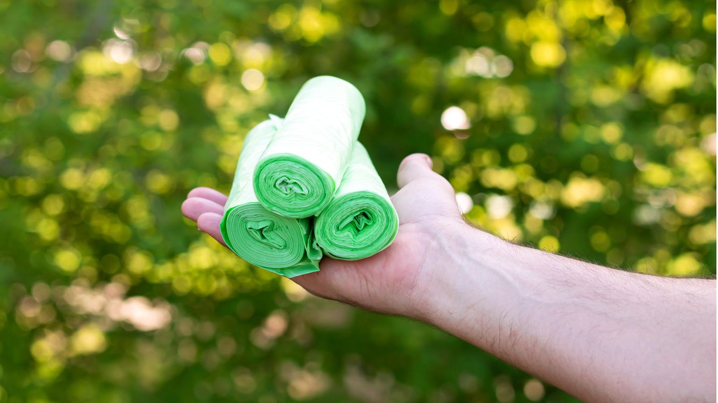 Drei Rollen von Bioplastik-Beutel, die auf einer Hand liegen
