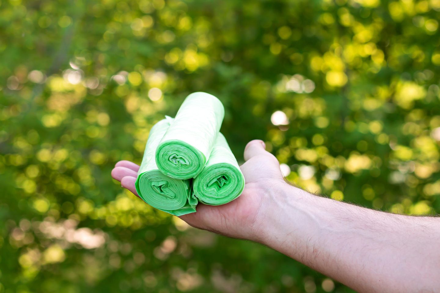 Drei Rollen von Bioplastik-Beutel, die auf einer Hand liegen