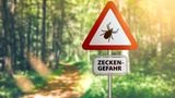 Schild im Wald warnt vor Zecken