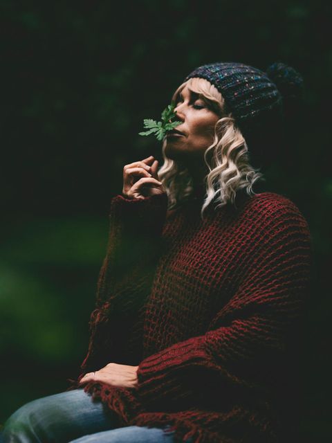 Naturbegegnung: Genuss, Ruhe, Wissen: Was der Wald uns schenkt