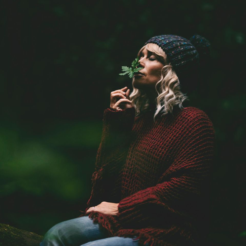 Naturbegegnung: Genuss, Ruhe, Wissen: Was der Wald uns schenkt