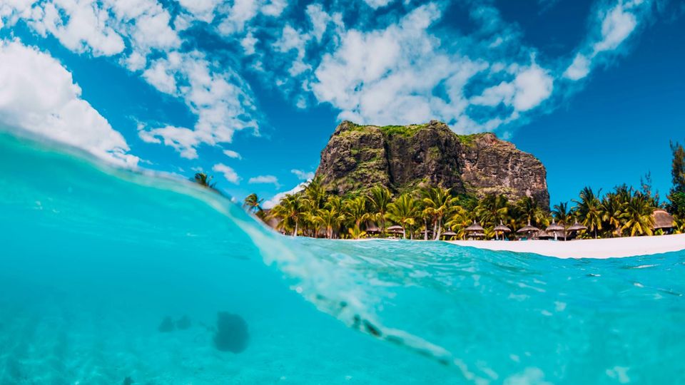 Wie ist die Lage? Normalerweise bestens! Mauritius’ Standortvorteil ist immer glasklar gewesen: türkisfarbenes Wasser, das an eine rund 330 Kilometer lange Traumküste schwappt, etwa bei Le Morne im Südwesten oder Centre de Flacq im Osten. Im August aber zerbrach ein Ölfrachter ausgerechnet in diesem Paradies. Ein Desaster, von dem sich Korallen, Mangroven und Seepferdchen bis heute erholen