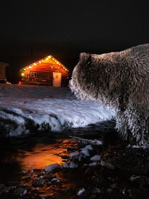Der Boss schaut hinüber zur Hütte, in der Chuck Hume schläft. Als Kind wanderte Hume jeden Sommer mit seiner Großmutter zu diesem Ort, heute steht keine Hütte in Klukshu näher am Fluss als seine