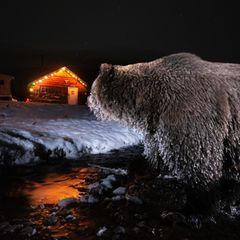 Der Boss schaut hinüber zur Hütte, in der Chuck Hume schläft. Als Kind wanderte Hume jeden Sommer mit seiner Großmutter zu diesem Ort, heute steht keine Hütte in Klukshu näher am Fluss als seine