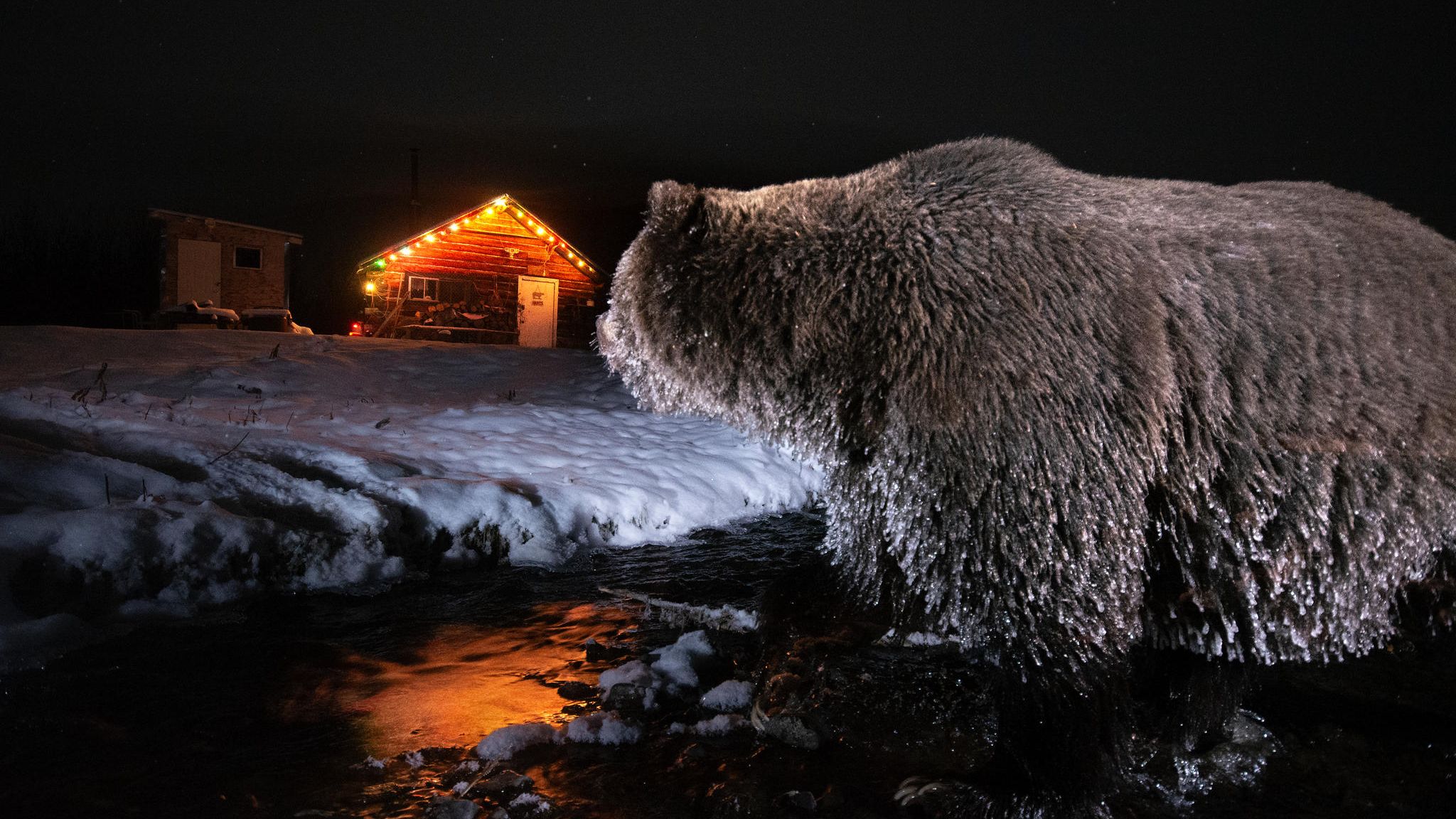 Der Boss schaut hinüber zur Hütte, in der Chuck Hume schläft. Als Kind wanderte Hume jeden Sommer mit seiner Großmutter zu diesem Ort, heute steht keine Hütte in Klukshu näher am Fluss als seine
