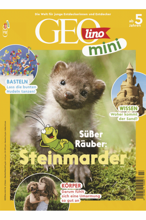 GEOlino Mini Ausgabe 07-2022: Steinmarder