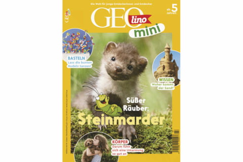 GEOlino Mini Ausgabe 07-2022: Steinmarder