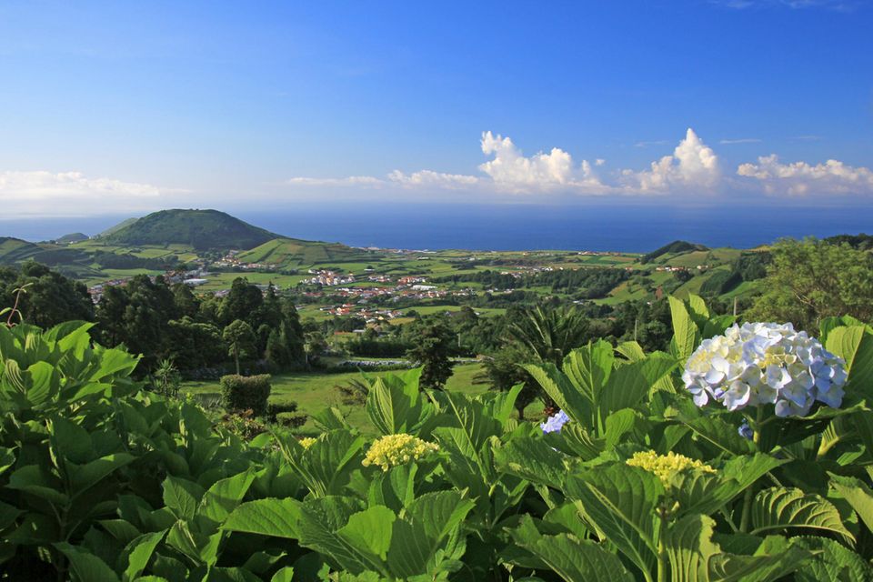 Faial, Azoreninsel