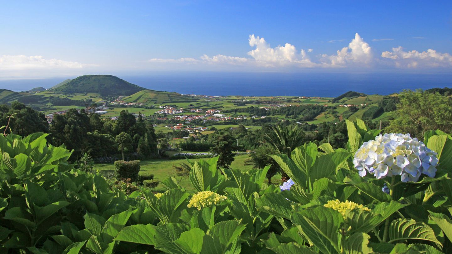 Faial, Azoreninsel