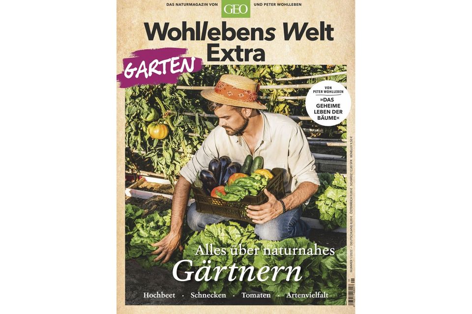 Zeit im Grünen: Warum das Gärtnern so gesund ist und uns glücklich macht
