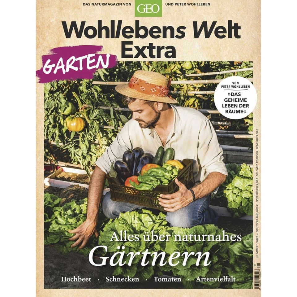 Zeit im Grünen: Warum das Gärtnern so gesund ist und uns glücklich macht