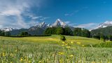 Blick auf die schneebestäubte Spitze des Watzmanns, frühlingshafte Wiese im Vordergrund