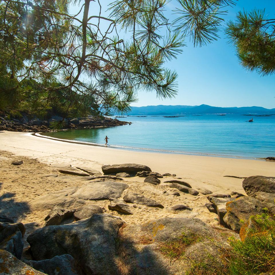 Der Imkerstrand Praia Abelleira, Muros liegt in einer wunderschönen Bucht, versteckt und geschützt von einem Dach uralter Pinien. Kristallklares Wasser.   Wegbeschreibung: Von Bornalle auf der AC-550 für 2,7 km Richtung Westen, dann links in die Rúa de O Salto. Irgendwo parken und dem steilen Weg rechts vom Haus zum Strand folgen.  Erreichbarkeit: Leicht 5 Min. 