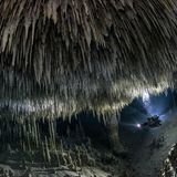 Unterwasserhöhe mit Tausenden von Stalaktiten