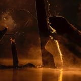 Ein Biber nagt an einem Baum bei Sonnenaufgang