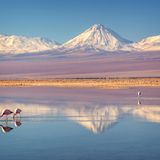 Flamingos an der Laguna Chaxa, im Hintergrund sind hohe Berge