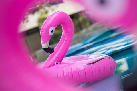 Pool-Flamingo zum Aufblasen
