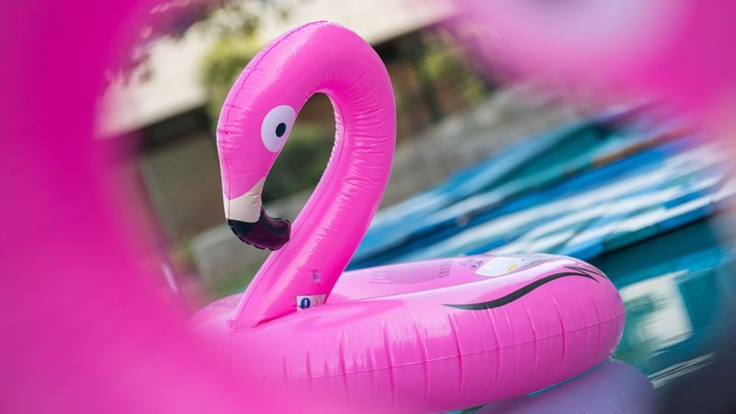 Pool-Flamingo zum Aufblasen