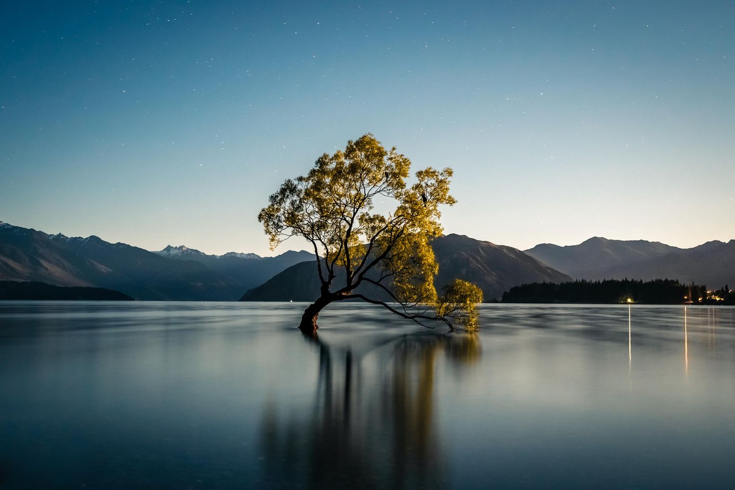 Baum im Wasser unter Sternenhimmel