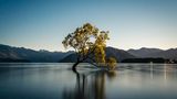 Baum im Wasser unter Sternenhimmel