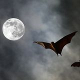 Fledermäuse vor Vollmond am Himmel